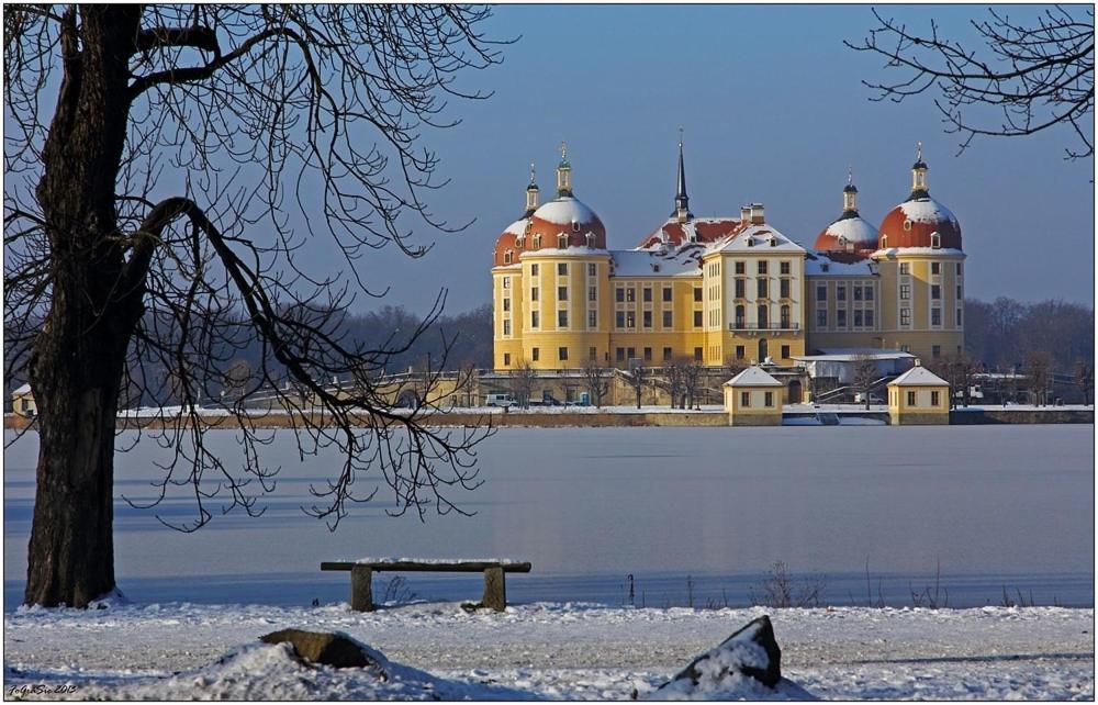 Gartenhaus Klotzsche Дрезден Экстерьер фото